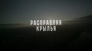 Расправляя крылья (2022)