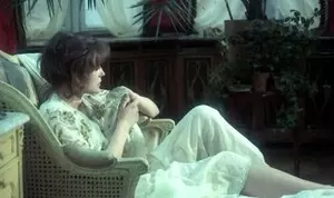 История греха (1975)