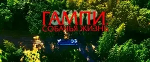 Гампи. Собачья жизнь (2024)